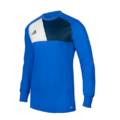 Дитячий реглан воротаря Adidas Assita 17 GK AZ5404_JR, прев. 0