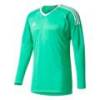 Детский реглан вратаря Adidas Assita 17 GK AZ5406_JR, прев. 0