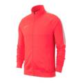 Джемпер Nike Dry Academy 19 AJ9180-671, прев. 0