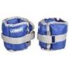 Обважнювач для рук/ніг WRIST/ANKLE WEIGHT синій Уні 2х1кг DT-LS3011-1, прев. 0