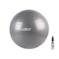 Фітбол (насос у комплекті) ANTI-BURST BALL сірий Уні 75см DT-LS3222-75g, прев. 0