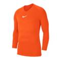 Компрессионая термофутболка с длинным рукавом Nike Dry Park First Layer LS AV2609-819, прев. 0