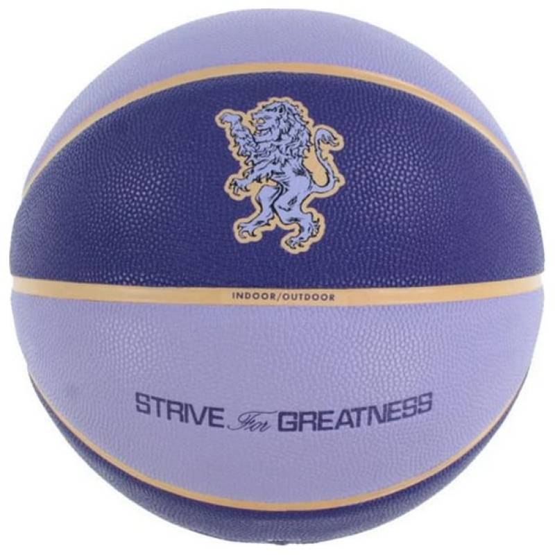М'яч баскетбольний Nike ALL COURT 2.0 8P L JAMES DEFLATED фіолетовий Уні 7 DT-N.100.4368.509.07, рис. 1