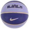 М'яч баскетбольний Nike ALL COURT 2.0 8P L JAMES DEFLATED фіолетовий Уні 7 DT-N.100.4368.509.07, прев. 0