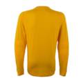 Реглан воротарський дитячий Nike Park Goalie II JSY LS 588441-739 JR, прев. 1