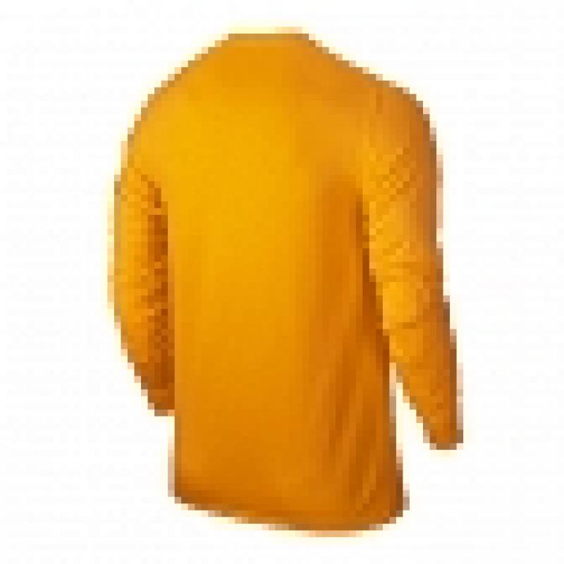 Реглан вратарский Nike Park Goalie 588418-739, рис. 1