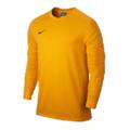 Реглан вратарский Nike Park Goalie 588418-739, прев. 0