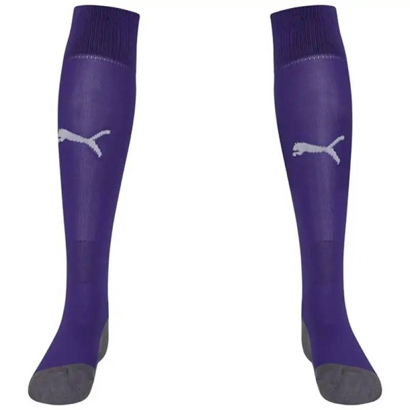 Гетри Puma Team LIGA Socks CORE бузковий Уні DT-703441-10, рис. 0