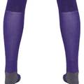 Гетри Puma Team LIGA Socks CORE бузковий Уні DT-703441-10, прев. 1