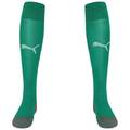 Гетри Puma Team LIGA Socks CORE зелений Уні 31-34 DT-703441-05, прев. 0
