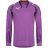 Реглан вратарский Puma 700394-04, прев. 0