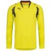 Реглан вратарский Puma 700394-05, прев. 0