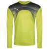 Реглан вратарский Puma Goalkeeper 700785-32, прев. 0