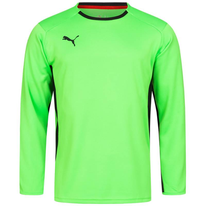 Реглан вратарский Puma V1.08 700466-15, рис. 0