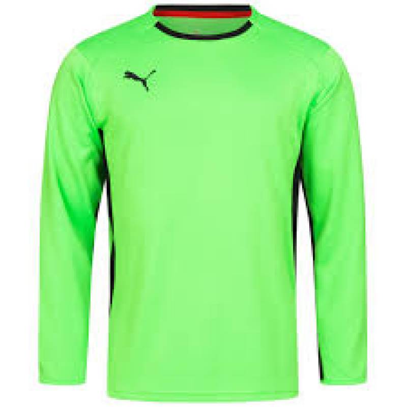 Реглан вратарский Puma V1.08 700466-15, рис. 1