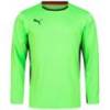 Реглан вратарский Puma V1.08 700466-15, прев. 0