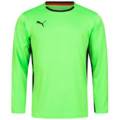 Реглан вратарский Puma V1.08 700466-15, прев. 1