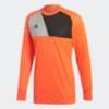 Реглан вратаря Adidas Assita17 CV7749, прев. 0