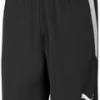 Спортивні шорти Puma teamLIGA Shorts чорний Чол L DT-704924-03, прев. 0