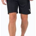 Спортивні шорти Puma teamLIGA Shorts чорний Чол DT-704924-03, прев. 1