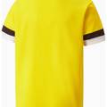 Футболка Puma teamRISE Jersey Jr жовтий Діт DT-704938-07, прев. 1