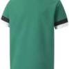 Футболка Puma teamRISE Jersey Jr зелений Діт DT-704938-05, прев. 1