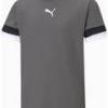 Футболка Puma teamRISE Jersey Jr сірий Діт 128 см DT-704938-13, прев. 0