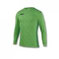 Реглан спортивный вратарский зеленый Joma Derby II 100522.400, прев. 0