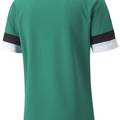 Футболка Puma teamRISE Jersey зелений Чол DT-704932-05, прев. 1