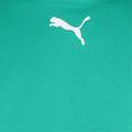 Футболка Puma teamRISE Jersey зелений Чол DT-704932-05, прев. 2