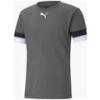 Футболка Puma teamRISE Jersey сірий Чол L DT-704932-13, прев. 0