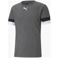 Футболка Puma teamRISE Jersey сірий Чол L DT-704932-13, прев. 0
