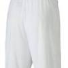 Шорти Puma teamGOAL 23 knit Shorts білий Чол L DT-704262-04, прев. 2