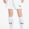 Шорти Puma teamGOAL 23 knit Shorts білий Чол L DT-704262-04, прев. 3