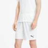 Шорти Puma teamGOAL 23 knit Shorts білий Чол L DT-704262-04, прев. 5