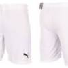 Шорти Puma teamRISE Short Jr білий Діт 140 см DT-704943-03, прев. 2