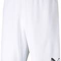 Шорти Puma teamRISE Short Jr білий Діт DT-704943-03, прев. 0
