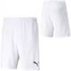 Шорти Puma teamRISE Short білий Чол DT-704942-03, прев. 2