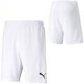 Шорти Puma teamRISE Short білий Чол L DT-704942-03, прев. 2