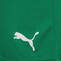 Шорти Puma teamRISE Short зелений Чол L DT-704942-05, прев. 3