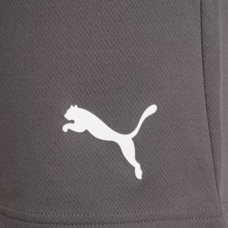 Шорти Puma teamRISE Short сірий Чол L DT-704942-13, рис. 5