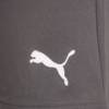 Шорти Puma teamRISE Short сірий Чол L DT-704942-13, прев. 5