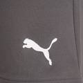 Шорти Puma teamRISE Short сірий Чол L DT-704942-13, прев. 5