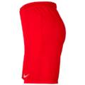 Спортивные игровые шорты Nike Park III BV6855-657, прев. 1