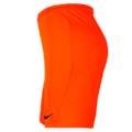 Спортивные игровые шорты Nike Park III BV6855-819, прев. 1