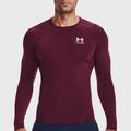 Лонгслів UA HG Armour Comp LS бордовий Чол LG DT-1361524-609, прев. 0