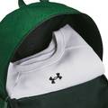 Рюкзак UA Loudon Lite Backpack 20L зелений 30х45х13 см DT-1380476-301, прев. 2