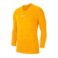 Термокофта Nike Dry Park First Layer LS AV2609-739, прев. 0