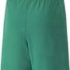 Шорти Puma teamRISE Short Jr зелений Діт DT-704943-05, прев. 1