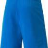 Шорти Puma teamRISE Short синій Чол L DT-704942-02, прев. 1